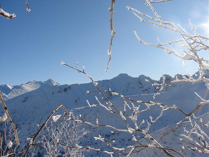 Tatry